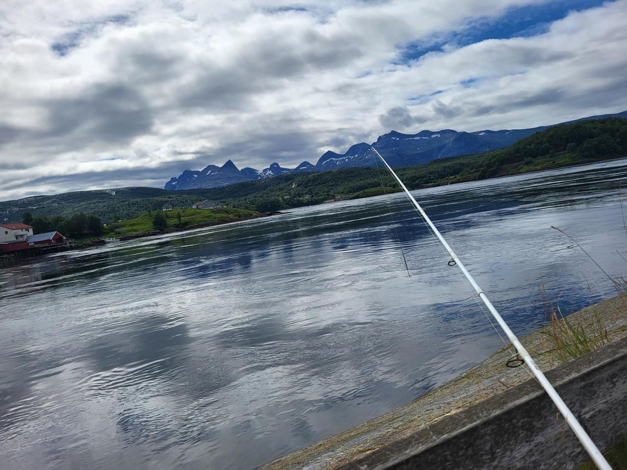 Sokkelleilighet Rett Ved Saltstraumen Bodø Buitenkant foto